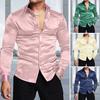 Men Shiny Silk Like Satin Shirt Long Sleeve Casual Slim Fit Dress Shirt Solid Color Lapel Button Down Shirts