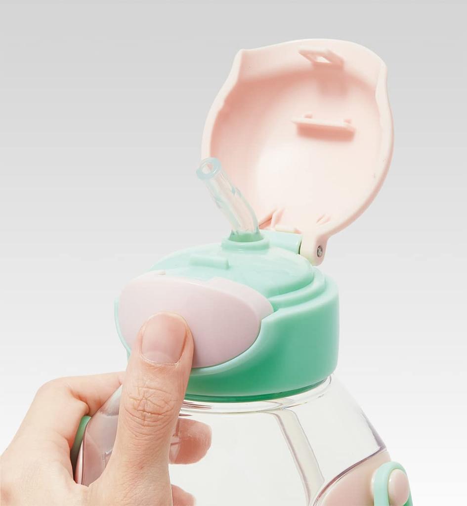 Skater Water Bottle with Straw, 530ml, Disney Princess 23, One-Push Operation, for Girls, PDSH6DX-A