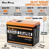 Cloudenergy 24V 100Ah LiFePO4 Battery Pack Backup Power, 2560Wh Energy, 6000+ Cycles, Built-in 100A BMS
