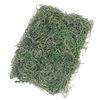 Daichi Farm Dried Flower Soft Spanish Moss Small Bag Green 50g 50g Approx. DO061061-707