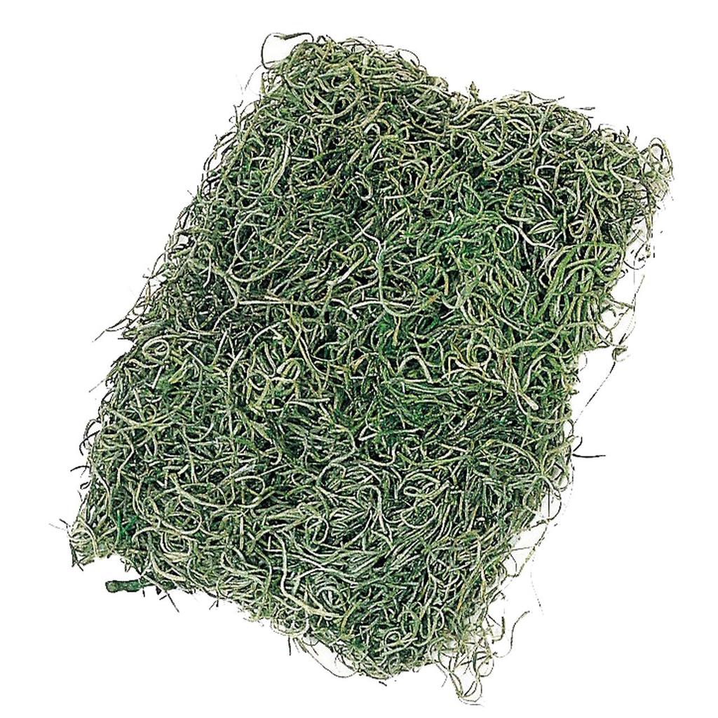 Daichi Farm Dried Flower Soft Spanish Moss Small Bag Green 50g 50g Approx. DO061061-707