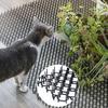 12Pcs Plastic Cat Scat Mat Indoor/Outdoor Cat Deterrent Mat Flexible Weather-Resistant Dog Repellent Spikes Mat Yard