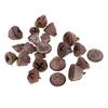 50 Pcs Mini Rustic Dried Flower Fruits for Christmas