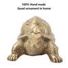 Pure Brass Handmade Longevity Tortoise Home Feng Shui Ornament Gift Symbol of Peace