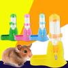 Guinea Pig Hamster Food Container Rabbit Water Bottle Water Feeding Bottles Hamster Water Bottle
