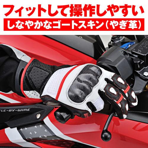 Daytona Motorcycle Gloves Spring/Summer Genuine Leather (Goat Leather) Carbon Protector Smartphone Compatible Sports Mesh Gloves HBG-053 Black/White/R