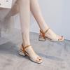Fashion Summer Square Heel Sandals Casual Outdoor Women Summer Sandals Ankle Strap Slides Women's Sandals Buckle Strap Sandals