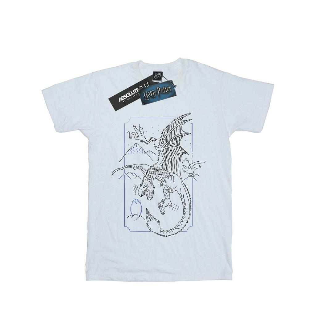 Harry Potter Mens Dragon Line Art T-Shirt