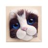 Photo Frame Ornaments with Shaping Base Wool Felt Interactive Lovely Cat Head Doll Knitting Kit Household Supplies