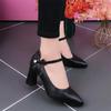 Mary Jane Shoes Women's 2025 Spring New Single Shoes Women's One-word Buckle High Heels Splicing Pointed Thick Heel Black Leather Shoes