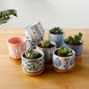 Succulent Plant Pots Wafeng Style Ceramic Creative Flower Pot Modern Desktop Bonsai