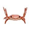 Weightlifting Crab Pen Holder Creative Desktop Organizer Decorative Desk Accessory for School Office Home Desk