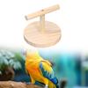Parrot Playstand Wood Bird Toy Playing Tabletop Freestanding Perch Stand Finches