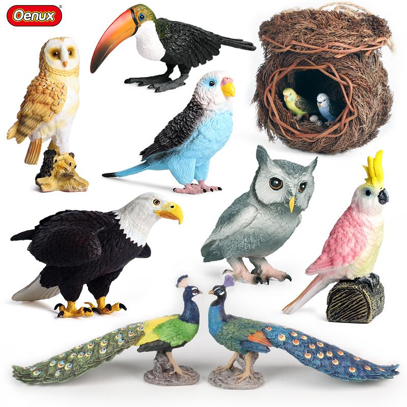Oenux Bird Nest Animals Peacock Parrot Trogon Hornbill Owl Model PVC Action Figures Big Garden Decoration Cute Kids Toy Gift