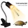 Full Spectrum UVB Heat Lamp for Reptiles - Ideal for Turtles and Lizards