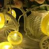 2m Lemon Orange Light Lemon-shaped Decorative Lights Quality Fairy Light  Yard