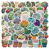 60 Succulents Graffiti Stickers Suitcase Computer Mobile Phone Water Cup Waterproof Stickers Stickers