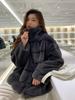 New Korean Version Imitation Mink Velvet Fur Coat Women's Winter Young Stand-up Collar Lamb Wool Fluffy Coat