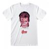 David Bowie Unisex Adult Aladdin Sane T-Shirt