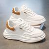 Spring Men's Shoes New Breathable Little White Shoes Men's Trend Versatile Platform Sports Shoes Casual Dad Shoes Men