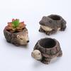 Cartoon Cute Turtle Animal Meaty Flower Pot Courtyard Garden Balcony Living Room Bedroom Decoration Small Potted Plants