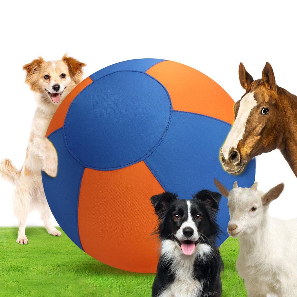 Durable Interactive Dog Ball for Molar Relief - Suitable for Golden Retrievers, Corgis, Border Collies, and More.