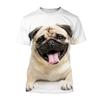 New Cute Pet Dog Funny Pug 3d Printed T-shirt Men Ladies Kids Short Sleeve Breathable Lightweight Summer Sports Cool Top