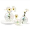 Set of 3 Bud Vases Flower Vase Rainbow Glass Room Decor Sphere Mini Vases for Wedding Decorations Home Decor Bulk
