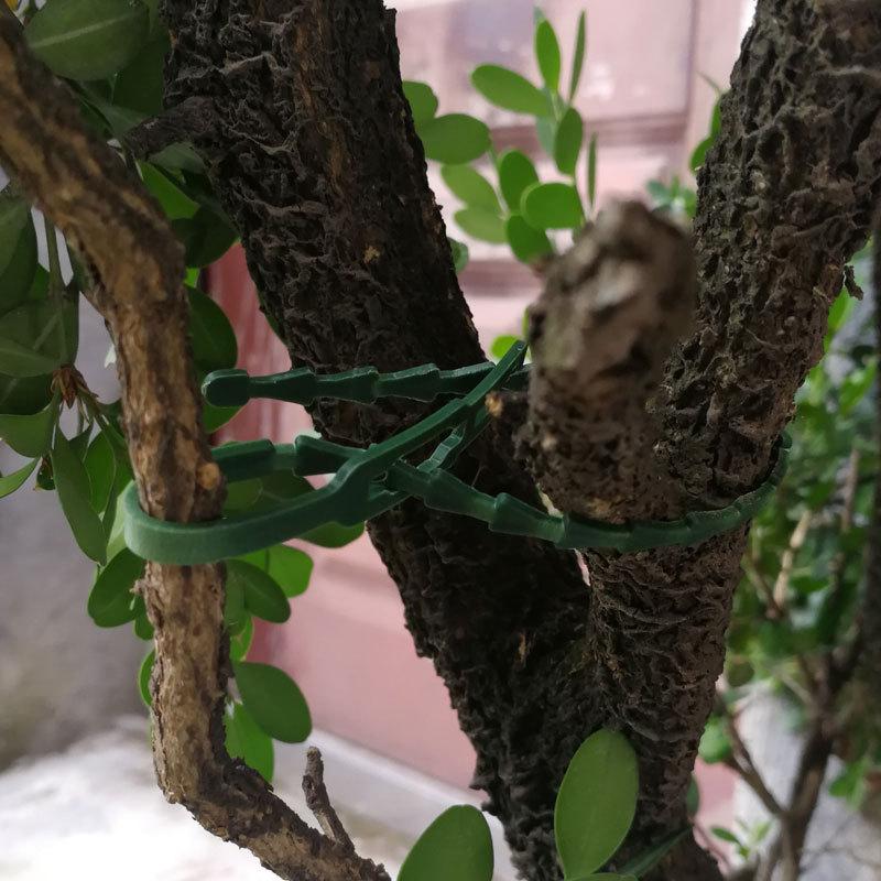 Adjustable Plastic Plant Cable Ties Reusable Cable Ties for Garden Tree Climbing Support Plant Vine Tomato Stem Clip
