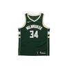 NBA Milwaukee Bucks Giannis Antetokounmpo #34 Fan Edition Basketball Jersey Men Jersey Spruce-Green 864489-323