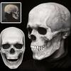 Carnival Halloween Props Prank Head Cover Full Head Skull Skull Mask Movable Jaw Halloween Mask