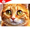Diamond Embroidery Animals Cross Stitch Kits Beadwork Diamond Painting Cat Hobby And Handicraft