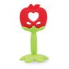 Perfection Fruit and Vegetable Teether Nipple, Teether + Case, Apple (red + Green), 1 Set, Korean Baby Products
