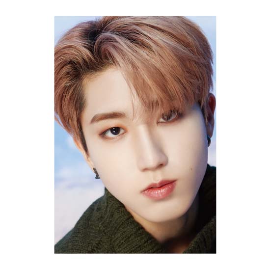 DICON Dfesta 'STRAY KIDS'