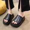 Casual Simple Black Heightened Platform Slippers Women's Summer 2025 New Internet Celebrity Senior Sense Outside Cool Slippers