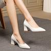 Pointed Thick Heel High Heels Spring and Autumn New High Heel Temperament Sexy Fashion Casual Single Shoes Women