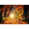 Круглая дрель DIY Алмазная картина Осенний пейзаж Вышивка крестом Пейзаж Алмазная вышивка