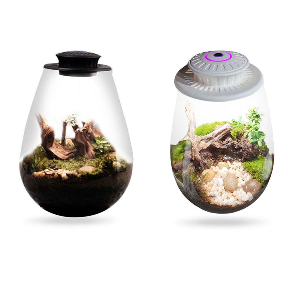 Fern Moss Micro-Landscape Grow Light 6500K Plant Grow Light LED Full Spectrum Growing Lamp for Miniature Gardening Landscape