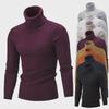 Autumn & Winter Casual Knitted Turtleneck Sweater - Warm, Twisted Pullover Style