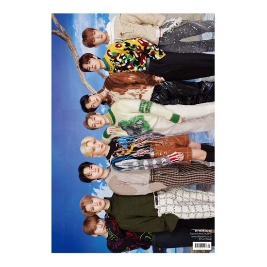 DICON Dfesta 'STRAY KIDS'