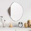 VidaXL Wall Mirror Makeup Vanity Cosmetic Bedroom Decoration Bathroom Living Room Interior Silver 348248