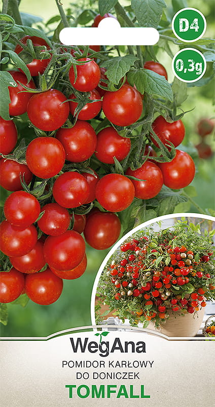 Tomato Tomfal 0.3g VERY FERTILE Tomato Seeds - VegAna