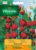 Strawberry Mignonette Seeds 0.1g -