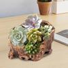 Tree Stump Flowerpot Cement Decorative Planter Desktop Small Rustic Planter for Succulents Cactus Windowsill Shelf Decor
