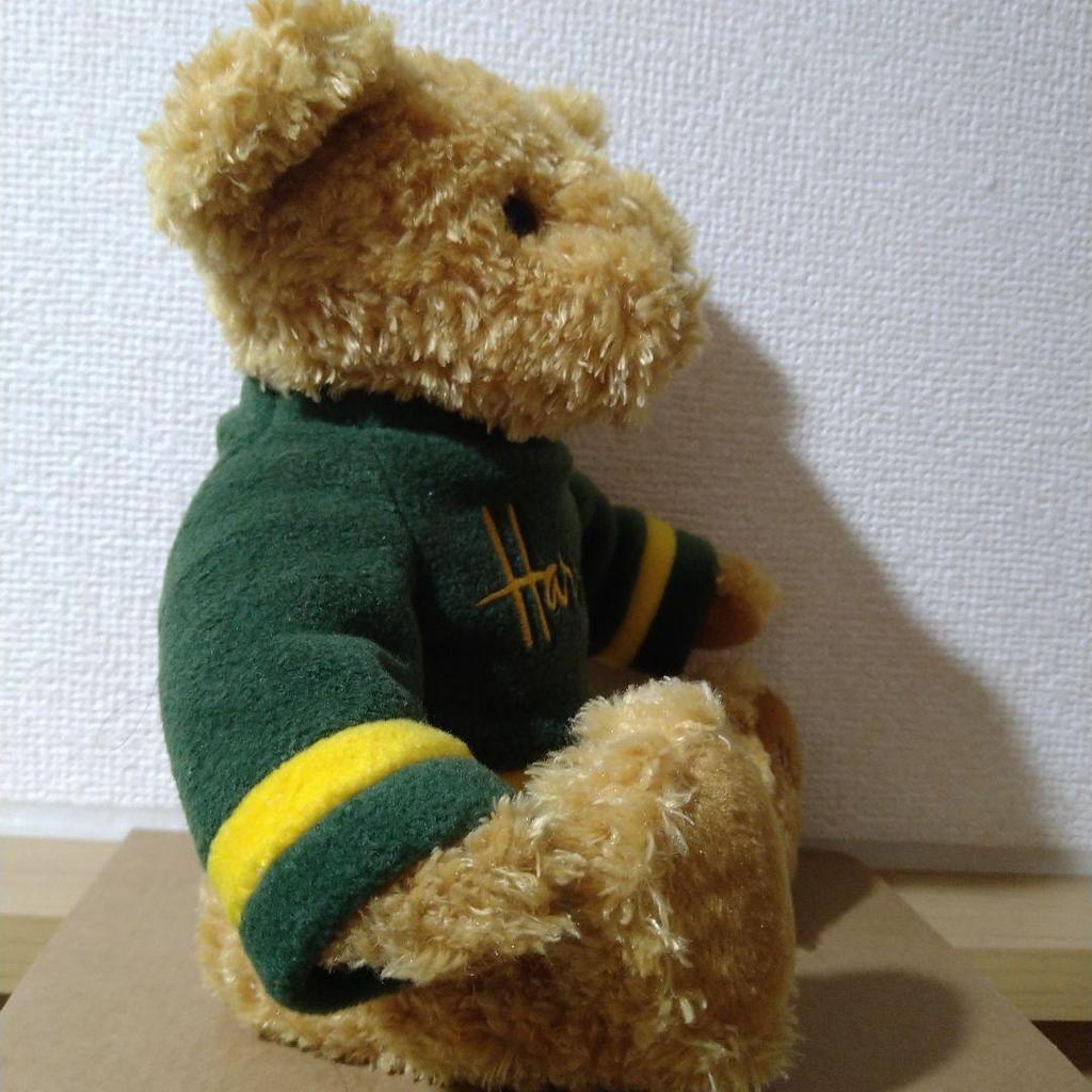 [USED] Harrods Teddy Bear Green Fleece