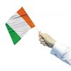 Flag Of Ireland Waving Flag (Pack of 4)