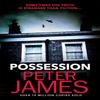 Possession by Peter James Paperback Book 9781409181279