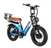 BAOLUJIE DP2033 All-Terrain Adult Electric Bike 20*4.0 Inch Fat Tires 1000W Dual Motor 48V 12Ah Dual Battery E-Mountain Bike With Disc Brake