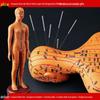 50CM Clear Meridian Human Body Model - Male & Female Traditional Chinese Medicine Acupuncture Points.