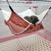 Pet Supplies Ferret Rat Double Layer Warm Pet Sleeping Bag Hamster Cage Pet Hammock Squirrel Beds